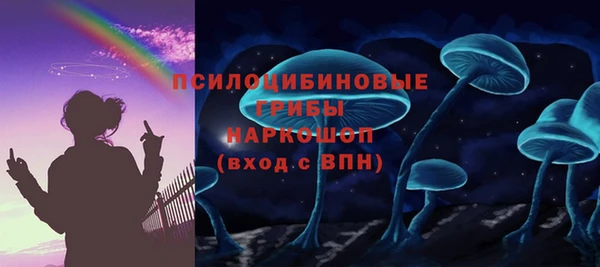 a pvp Алзамай