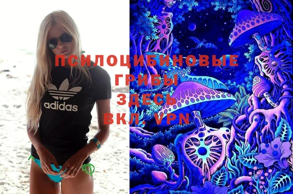 гидра Алексеевка