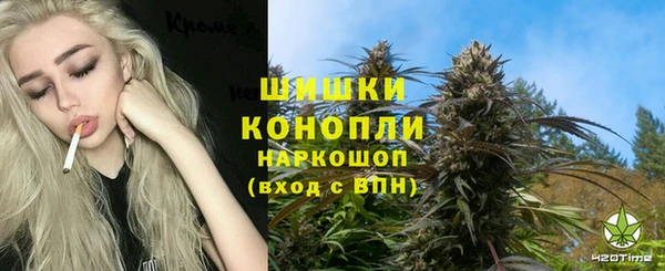 гидра Алексеевка